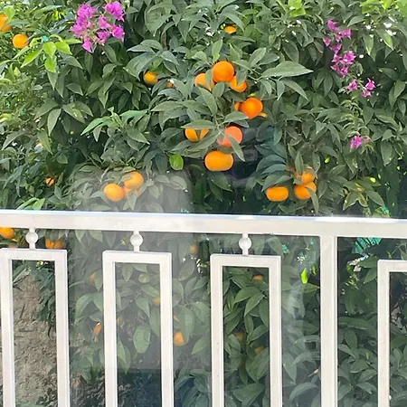 Apartment Superbe 3p 2chambres, 2terrasses Centre-ville, 4 Min A Pied De La Croisette Sas-meredith Loc *